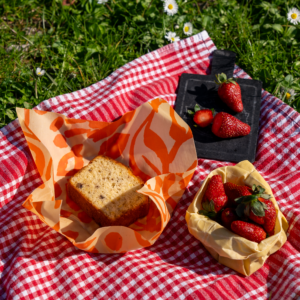 Winny Bee- Yaz Güneşi Paketi